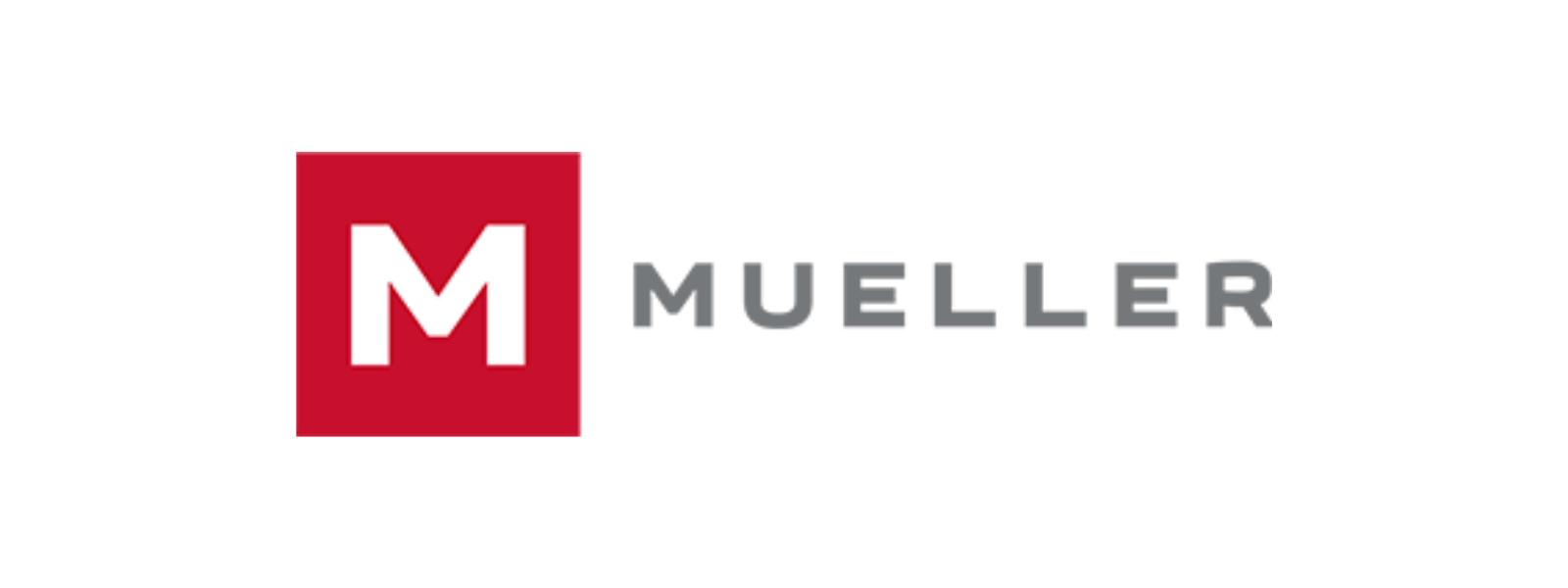 Mueller Services